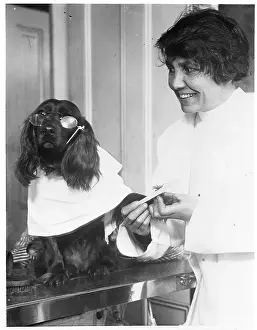 Cosmetics Prints: Dog In Sunglasses Getting Manicure