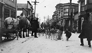Disease Prints: Dog Team Comes With Diphtheria Antitoxin