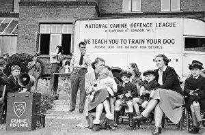 Dog Training School