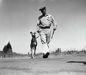 Dog Walks On Racing Day