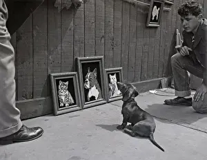 Exhibit Prints: Dog Waxes Critical At Cat And Dog Painti