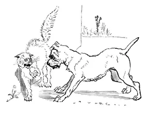 Images Dated 16th April 2013: Dog that worried the Cat