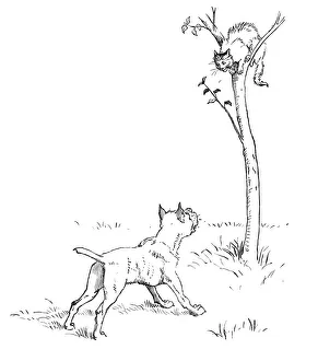 Images Dated 16th April 2013: Dog that worried the Cat