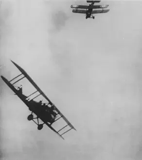 3646 Prints: Dogfight