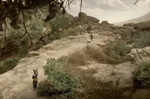 Escarpment Prints: Dogon land, Tireli, Mali, Africa - daily trail to the water collected