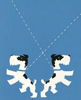 Two Dogs on Leashes