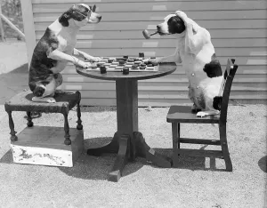Checkers Prints: Dogs Playing Checkers/One Smokes Pipe
