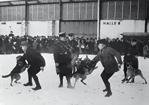 Dogs Being Trained for Capture of Suspects