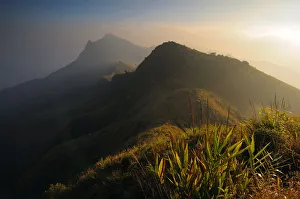 Images Dated 29th December 2011: Doi Pha Tang, Chiang Rai, Thailand