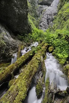Eroding Prints: Dolne Diery ravine, Mala Fatra National Park, Slovakia, Europe