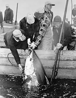Don Henley Catching a Fish