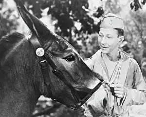 Donald Oconnor Prints: Donald O'Connor and Mule