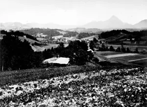 Landscape Europe T Prints: Donatiberg