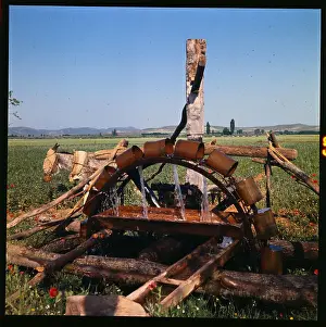 Cordoba Prints: Donkey at an Antiquated Irrigation Wheel