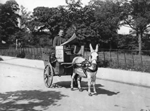 Gramophone Gallery: Donkey Cart