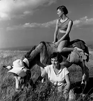 Donkey Prints: Donkey Ride