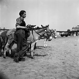 Donkey Prints: Donkey Rides