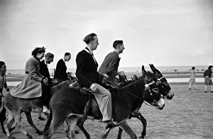 Donkey Riding
