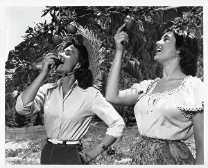 Lac0012 Prints: Donna Reed bites And Roberta Haynes In Gun Fury