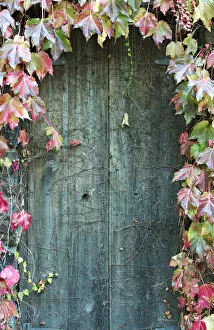 Images Dated 10th May 2012: Door to secret garden