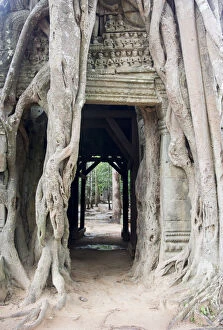 Doorway engulfed in tree roots at ruined Ta Prohm