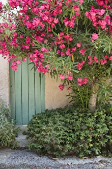 Images Dated 17th July 2015: Doorway St Michel L Observatoire, Provence, France