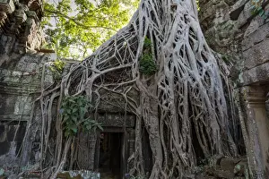 Ruined Prints: Doorway at Ta Prohm Temple, Rajaviharain or Jungle Temple, Angkor, Siem Reap, Cambodia