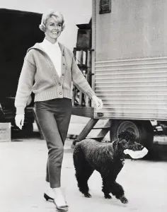 Popular Prints: Doris Day Walking Dog