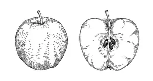 Prints of Dorling Kindersley Prints Unlock the world's wonders with Dorling Kindersley's captivating illustrations – where knowledge meets artistry in every stroke: Apple