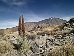 Dormant Volcano Prints: Dormant volcano