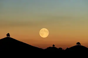 Canton Of Zurich Prints: Double exposure, full moon before sunset with trees on moraine hill