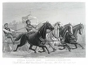Horseback Riding Gallery: Double Harness racing horse competition 1857