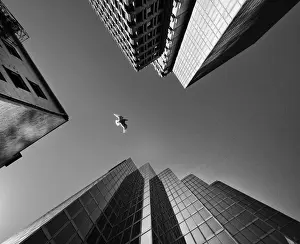 Vancouver Canada Prints: 1 3 5