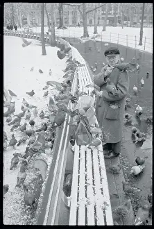 Dr. Dolittle Feeding Pigeons