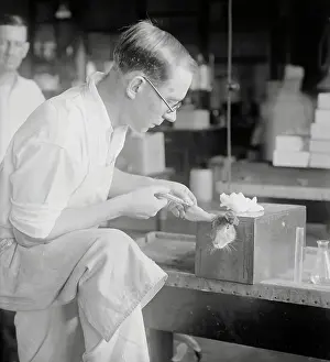 Dr. E.M.K. Gelling in Laboratory