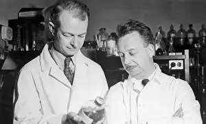 Dr. Linus Pauling and Dr. Dan Campbell Looking at Their New Discovery