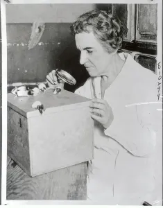 House Mouse Prints: Dr. Maude Slye Looking at Mice with Magnifying Glass