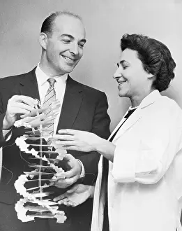Stanford Prints: Dr. and Mrs. Arthur Kornberg Smiling with DNA Model