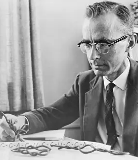 Robert W Prints: Dr Robert W.Holley Working