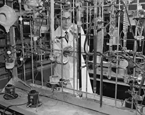 Biologist Prints: Dr. Stanley Miller Working in Laboratory