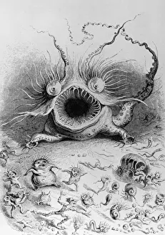 Long Prints: The Dragon