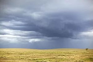 Dramatic clouds over the Serengeti, Tanzania, Africa