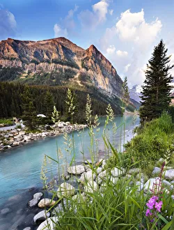 Images Dated 11th August 2018: Dramatic Landscape with Flowers, Grass, Mountains and Water at Lake Louise