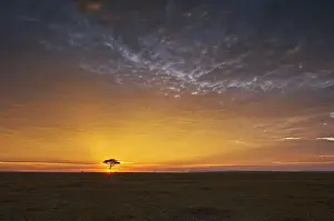 Dramatic sunrise landscape over the Masai Mara National Reserve in Kenya