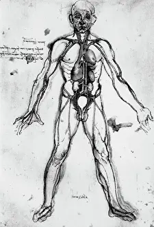 Florentine School Prints: Drawing of an Anatomical Figure by Leonardo da Vinci