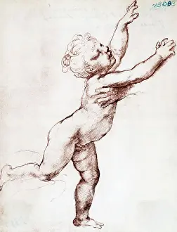 Florence Prints: Drawing Of Child By Raphael