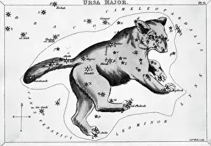 Drawing of Constellation Ursa Major
