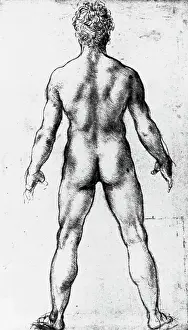 Florentine School Prints: Drawing of a Nude Seen from Behind by Leonardo da Vinci