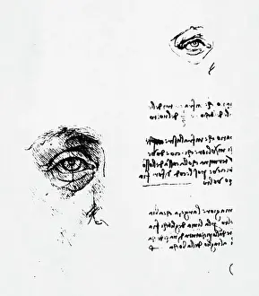 Florentine School Prints: Drawings of the Eye by Leonardo da Vinci