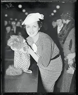 Well Dressed Woman Posing With Cat in Costume